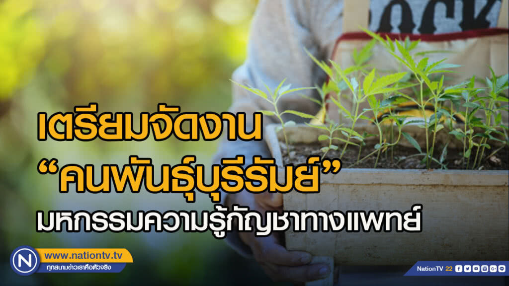 บุรีรัมย์ เตรียมจัดงาน"คนพันธุ์บุรีรัมย์"มหกรรมความรู้กัญชาทางแพทย์