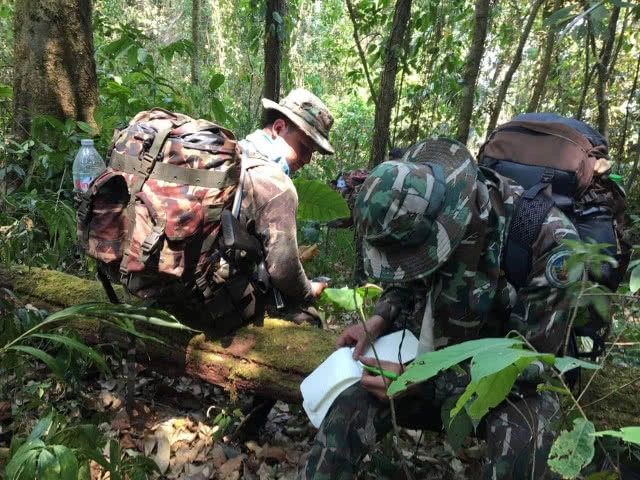 เร่งสำรวจ "ดอยหลวงเชียงดาว" หลังไฟป่า เชื่อฟื้นกลับคืนในฤดูฝน