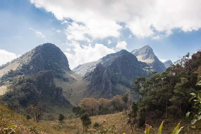 เร่งสำรวจ "ดอยหลวงเชียงดาว" หลังไฟป่า เชื่อฟื้นกลับคืนในฤดูฝน