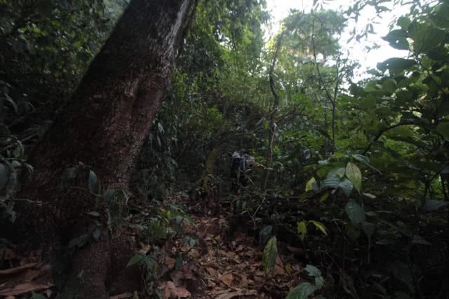 เร่งสำรวจ "ดอยหลวงเชียงดาว" หลังไฟป่า เชื่อฟื้นกลับคืนในฤดูฝน