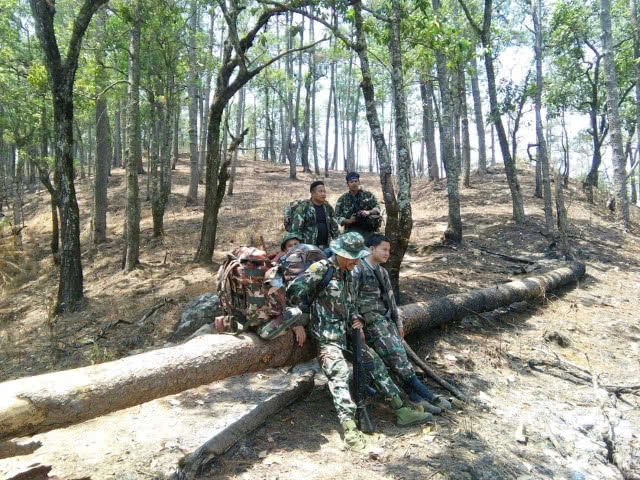 เร่งสำรวจ "ดอยหลวงเชียงดาว" หลังไฟป่า เชื่อฟื้นกลับคืนในฤดูฝน