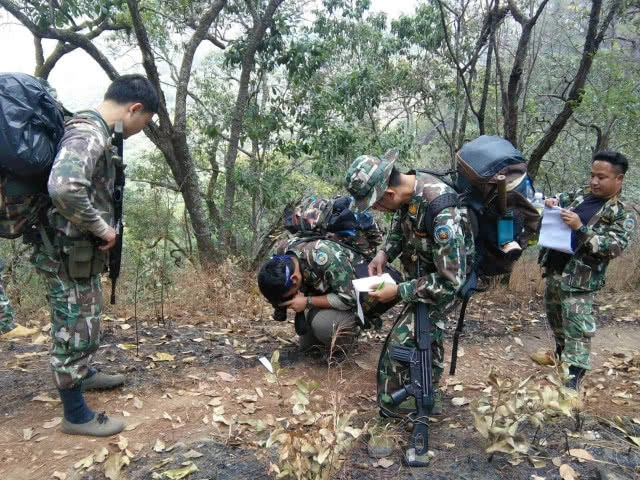 เร่งสำรวจ "ดอยหลวงเชียงดาว" หลังไฟป่า เชื่อฟื้นกลับคืนในฤดูฝน