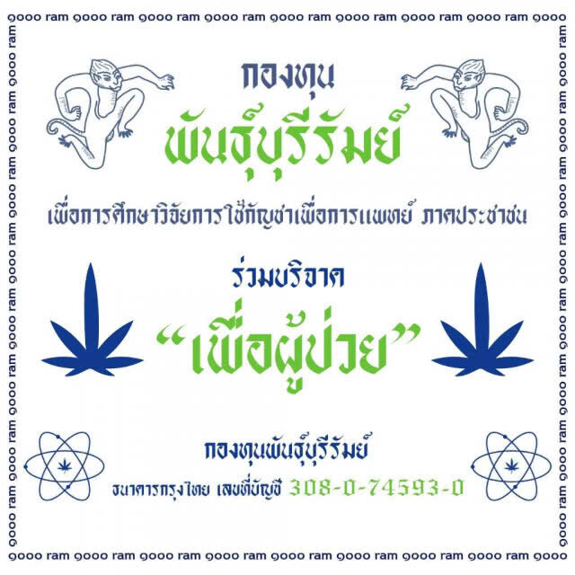 ภท.เปิดกองทุน "พันธุ์บุรีรัมย์" ช่วยผู้ป่วย ดันกัญชาเสรีให้สำเร็จ