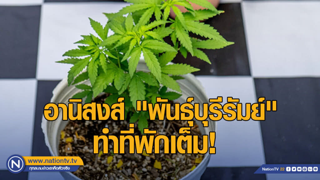 อานิสงส์ "พันธุ์บุรีรัมย์" ทำที่พักในจว.เต็ม -คาดสะพัดสิบล้าน