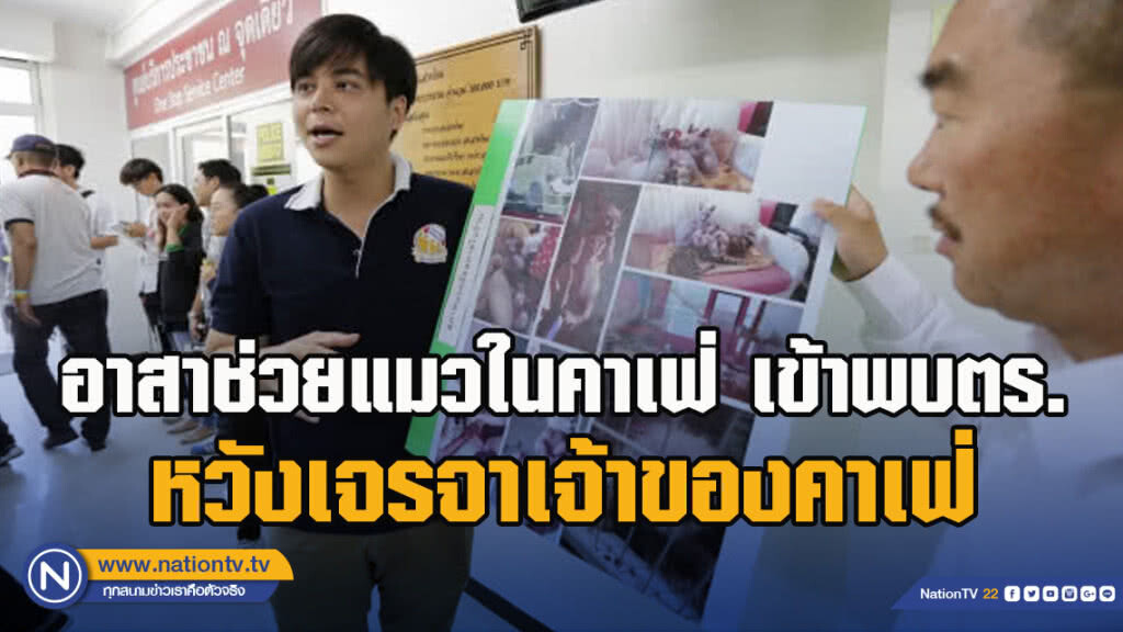 อาสาช่วยแมวในคาเฟ่ เข้าพบตร. หวังเจรจาเจ้าของคาเฟ่