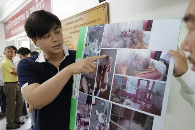 อาสาช่วยแมวในคาเฟ่ เข้าพบตร. หวังเจรจาเจ้าของคาเฟ่