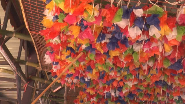 คึกคัก! โคราชจัดงานวันไหล