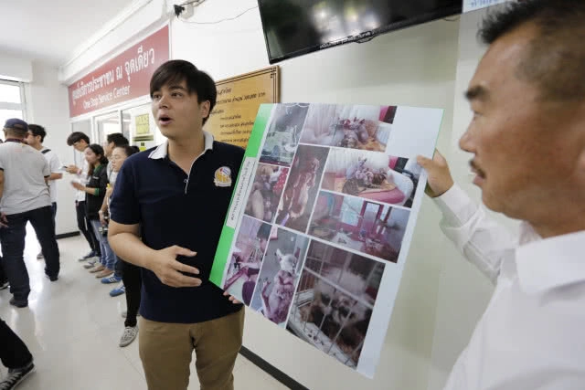 อาสาช่วยแมวในคาเฟ่ เข้าพบตร. หวังเจรจาเจ้าของคาเฟ่