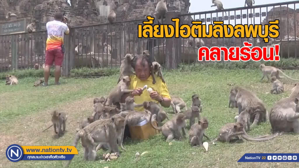 เลี้ยงไอติมลิงลพบุรี คลายร้อน! เลี้ยงไอติมลิงลพบุรี คลายร้อน!