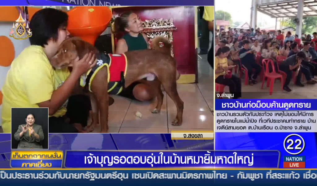 เจ้าบุญรอดอบอุ่นในบ้านหมายิ้มหาดใหญ่