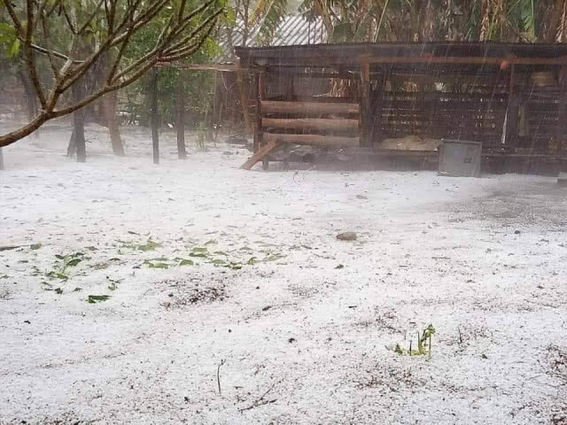 ลูกเห็บตกบนยอดดอยอมก๋อย เชียงใหม่ "ขาวโพลนราวหิมะ"
