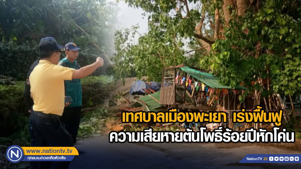 เทศบาลเมืองพะเยา เร่งฟื้นฟูความเสียหายต้นโพธิ์ร้อยปีหักโค่น