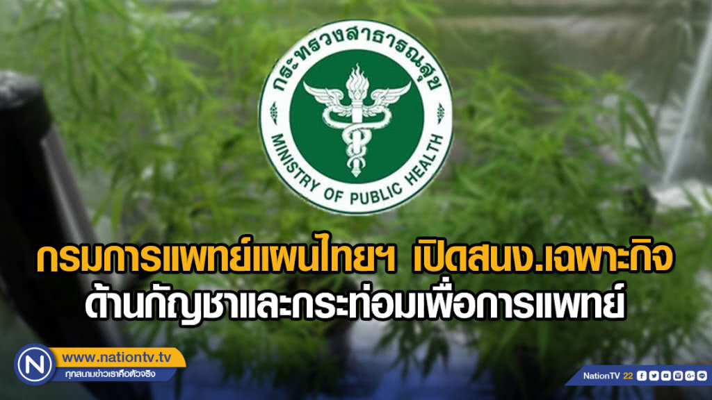 กรมการแพทย์แผนไทยฯ เปิดสนง.เฉพาะกิจด้านกัญชาและกระท่อม เพื่อการแพทย์