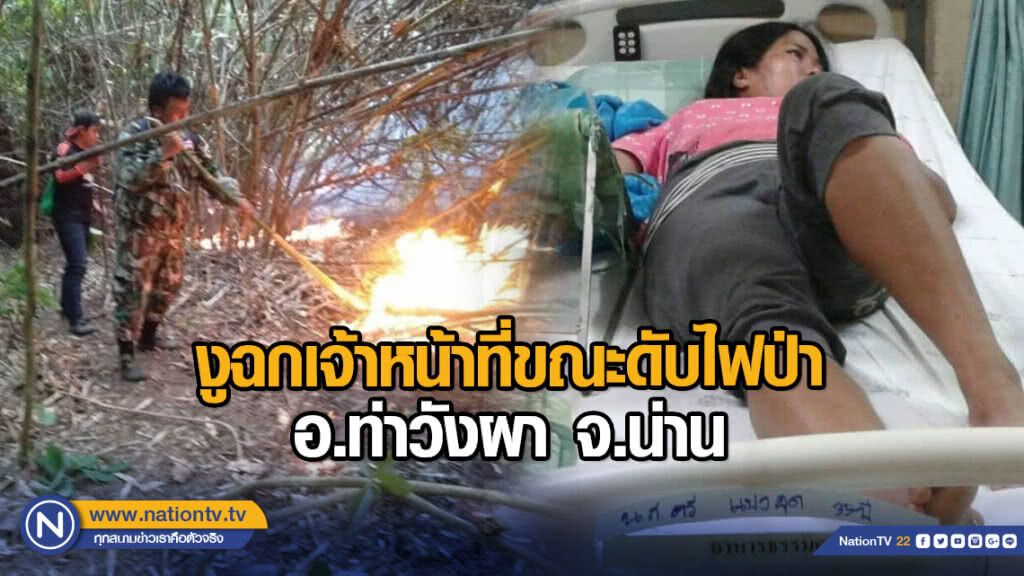 งูฉกเจ้าหน้าที่ขณะดับไฟป่า อ.ท่าวังผา จ.น่าน