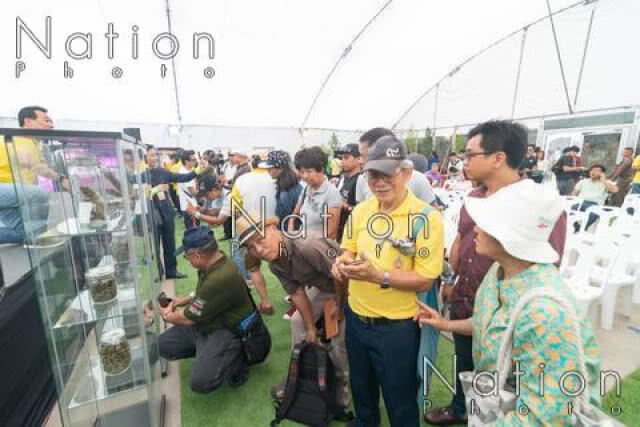 "เนวิน" แจง งาน พันธุ์บุรีรัมย์ ไร้วาระซ่อนเร้น ยันแก้โรค-แก้จน