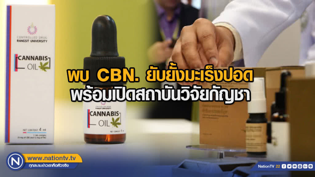 พบCBN.ยับยั้งมะเร็งปอด พร้อมเปิดสถาบันวิจัยกัญชา