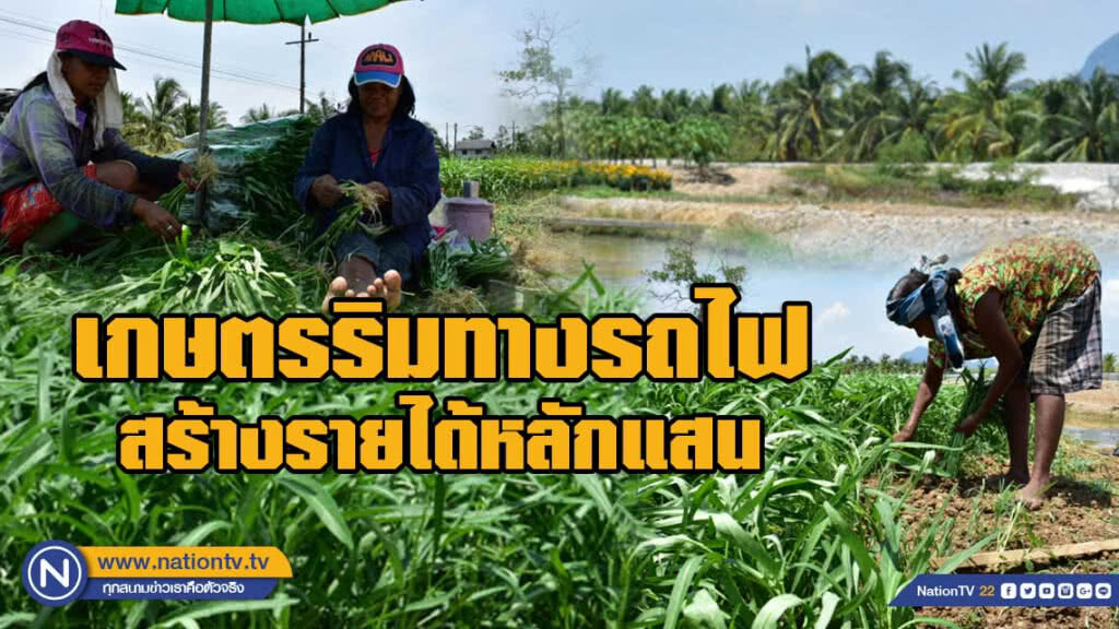 เกษตรริมทางรถไฟ สร้างรายได้หลักแสนต่อเดือน