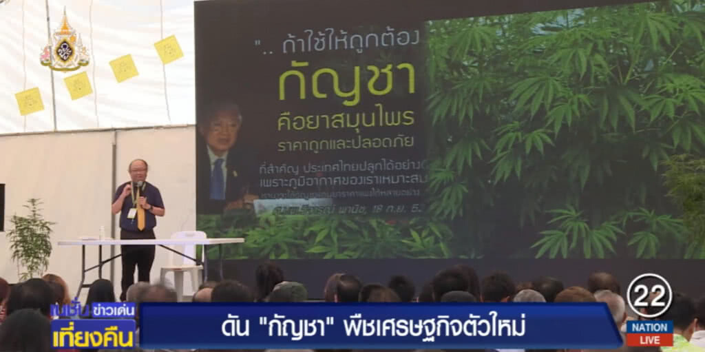 เฮหรือแห้ว?....ดัน "กัญชา" พืชเศรษฐกิจตัวใหม่ของชาติ
