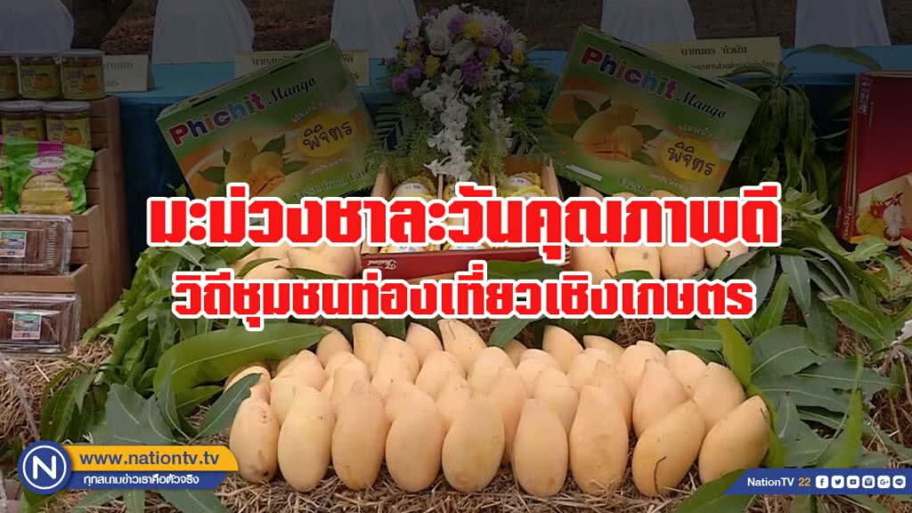 พิจิตร - เตรียมการจัดงานวันมะม่วงโลก