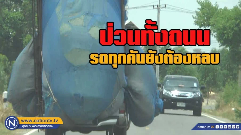 ป่วนทั้งถนน รถกระบะบรรทุกแกลบน้ำหนักเกินขนาดกีดขวางจราจร