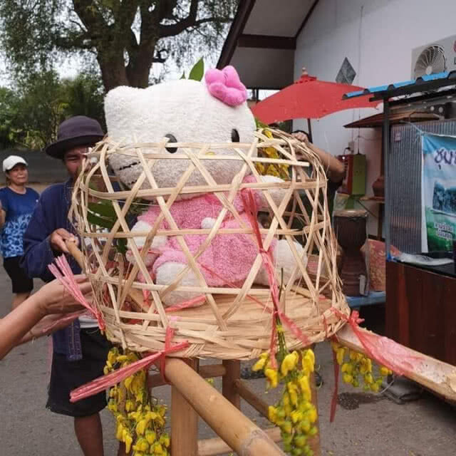 สุดจะทนอากาศร้อนจัด แห่ "แมวสาว" ขอฝน รอบเมืองลอง
