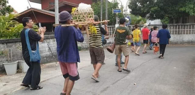 สุดจะทนอากาศร้อนจัด แห่ "แมวสาว" ขอฝน รอบเมืองลอง
