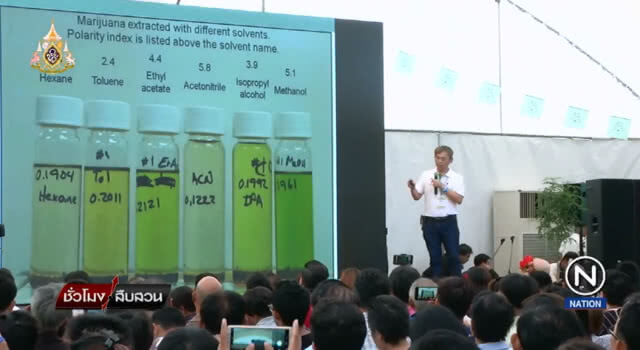 (คลิปข่าว) กัญชามีแต่ข้อดีไม่มีข้อเสียให้ต้องกังวลเลยจริงหรือไม่