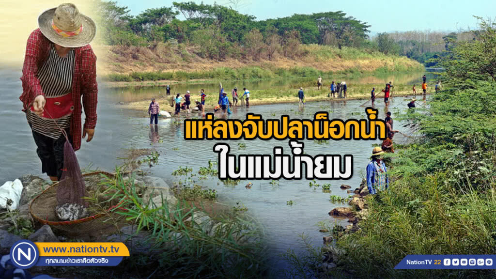 แห่ลงจับปลาน็อกน้ำในแม่น้ำยม แห่ลงจับปลาน็อกน้ำในแม่น้ำยม