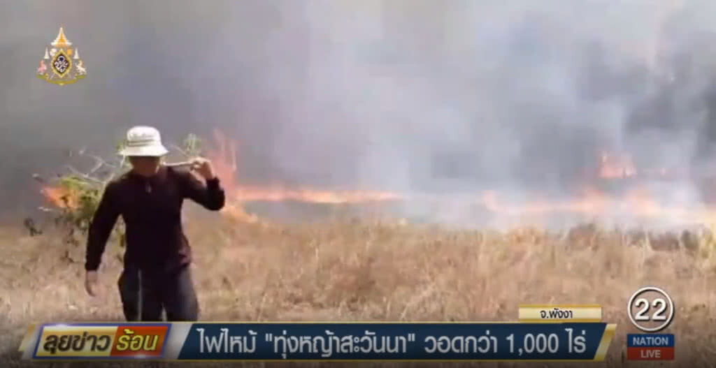 ไฟไหม้ทุ่งหญ้าสะวันนา 1 ในอันซีนไทยแลนด์ บนเกาะพระทองวอดกว่าพันไร่