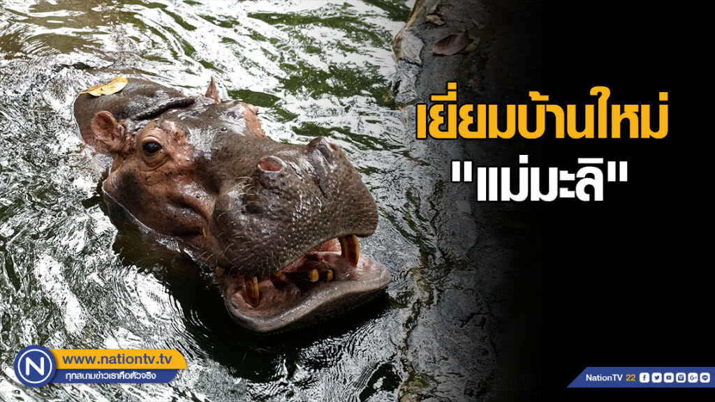 เยี่ยมบ้านใหม่ "แม่มะลิ"