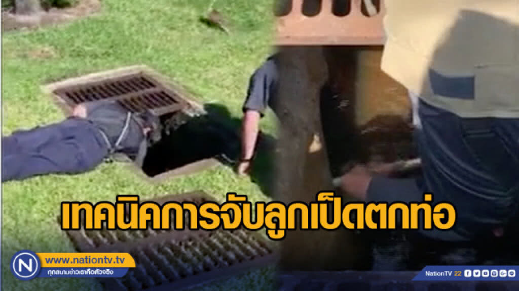 เทคนิคการจับลูกเป็ดตกท่อ เทคนิคการจับลูกเป็ดตกท่อ