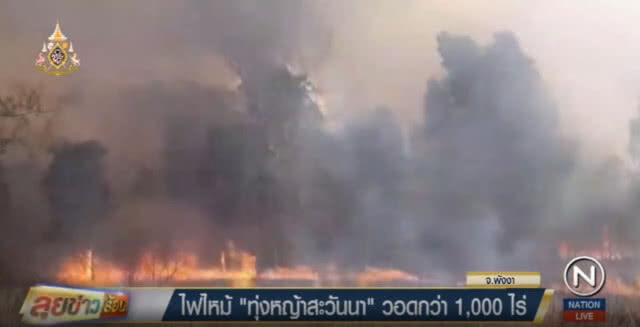 ไฟไหม้ทุ่งหญ้าสะวันนา 1 ในอันซีนไทยแลนด์ บนเกาะพระทองวอดกว่าพันไร่