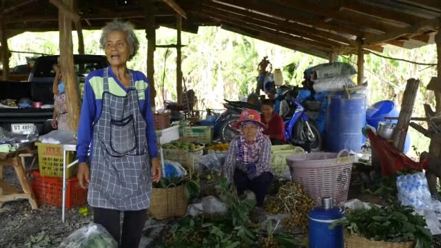 สวนลำไยนอกฤดูแปลงแรกในลพบุรี กินแล้วไม่ร้อนใน!!