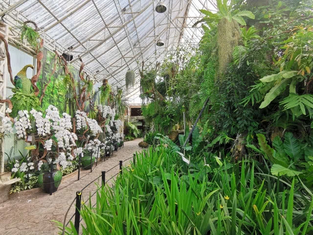 หลบร้อนไป "เพลาเพลิน" สาบานว่าอยู่บุรีรัมย์ !