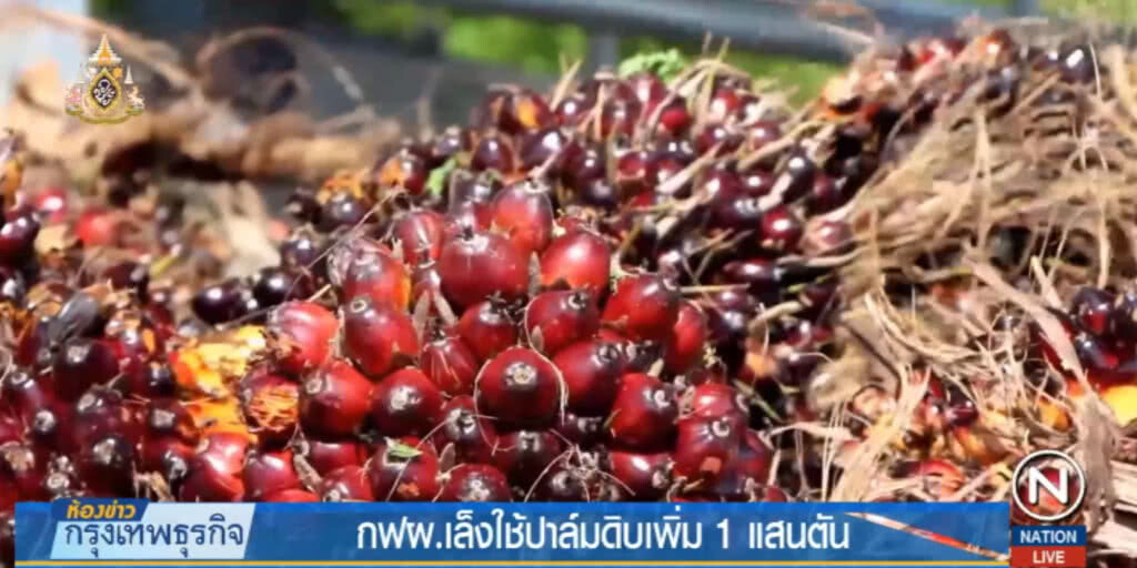 กฟผ.เล็งใช้ปาล์มดิบเพิ่ม 1 แสนตัน ช่วยกระตุ้นราคา