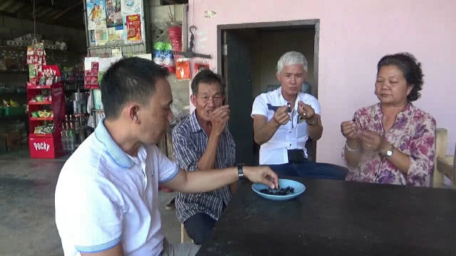 ขุดหาแมงกุดจี่ เชื่อสุดยอดโปรตีนเสริมพลังมีแค่ปีละครั้ง!!