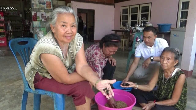 ขุดหาแมงกุดจี่ เชื่อสุดยอดโปรตีนเสริมพลังมีแค่ปีละครั้ง!!