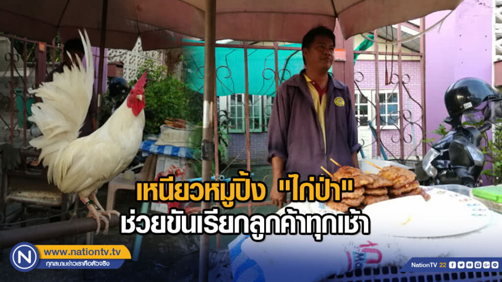 เหนียวหมูปิ้ง"ไก่ป่า" ช่วยขันเรียกลูกค้าทุกเช้า เหนียวหมูปิ้ง"ไก่ป่า" ช่วยขันเรียกลูกค้าทุกเช้า