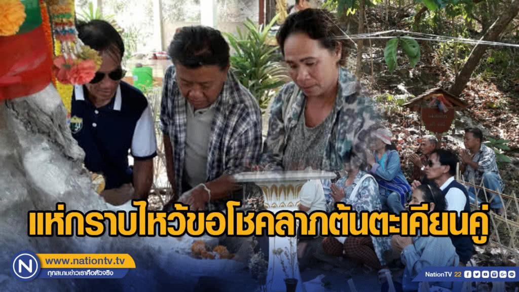 แห่กราบไหว้ขอโชคลาภต้นตะเคียนคู่