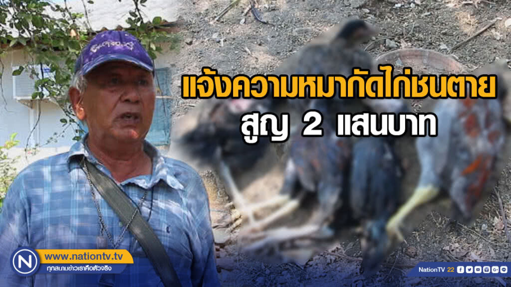 แจ้งความหมากัดไก่ชนตาย สูญ2แสนบาท