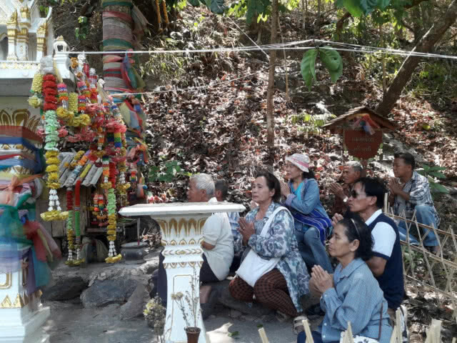 แห่กราบไหว้ขอโชคลาภต้นตะเคียนคู่