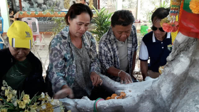 แห่กราบไหว้ขอโชคลาภต้นตะเคียนคู่