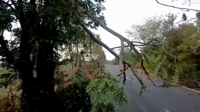 พายุฤดูร้อนยังแรงล่าสุดถล่มตำบลหนองขวาวช่างปี่เสียหายหลายหลัง