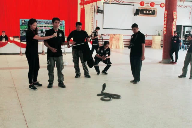 มือปราบอสรพิษ ลดปัญหาความขัดแย้งระหว่างงูและมนุษย์