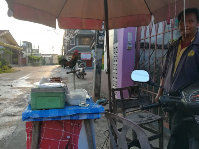 เหนียวหมูปิ้ง"ไก่ป่า" ช่วยขันเรียกลูกค้าทุกเช้า