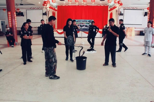 มือปราบอสรพิษ ลดปัญหาความขัดแย้งระหว่างงูและมนุษย์