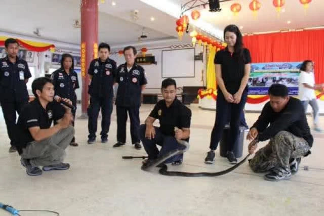 มือปราบอสรพิษ ลดปัญหาความขัดแย้งระหว่างงูและมนุษย์