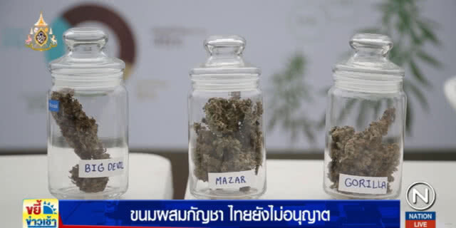 สธ.เบรคยังไม่อนุญาต "กัญชา" ผสมขนม ชี้มีผลต่อสุขภาพ