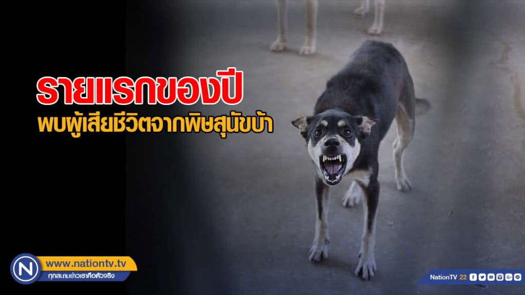 พบผู้เสียชีวิตจากพิษสุนัขบ้ารายแรกของปี