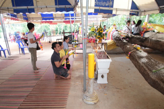 ชาวบ้าน แห่กราบเจ้าแม่ตะเคียนทองกาฬสินธุ์